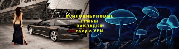 стаф Балахна