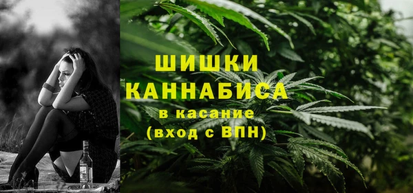 стаф Балахна
