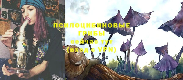 стаф Балахна